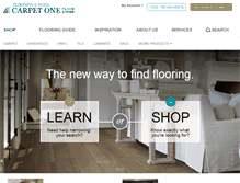 Tablet Screenshot of columbuscarpetonecolumbus.com